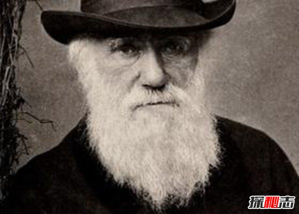 达尔文晚年推翻进化论,进化论存在最大的缺陷(被证实)