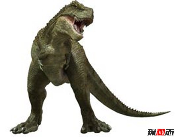 中国最强大的十大食肉恐龙,揭秘中国有哪些食肉恐龙
