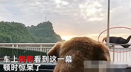 女子坐车路过长江大桥随手拍风景 意外拍下惊魂一幕1.jpg