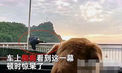 女子坐车路过长江大桥随手拍风景 意外拍下惊魂一幕2.jpg
