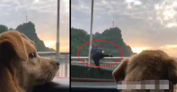 女子坐车路过长江大桥随手拍风景 意外拍下惊魂一幕.jpg