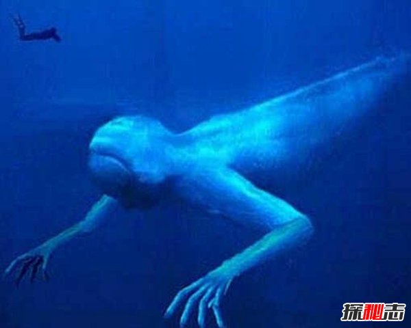 海底发现30米巨人,谷歌地图上竟可以找到这个巨人
