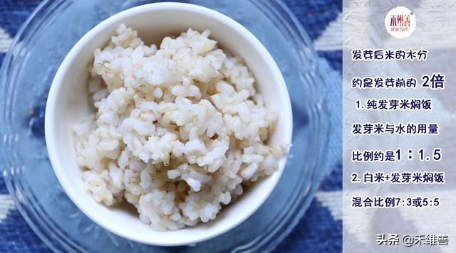 发芽糙米制作方法,发芽糙米为什么好吃(6)