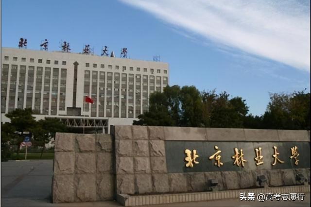 北京林业大学211含金量高吗,北京林业大学排名(2)