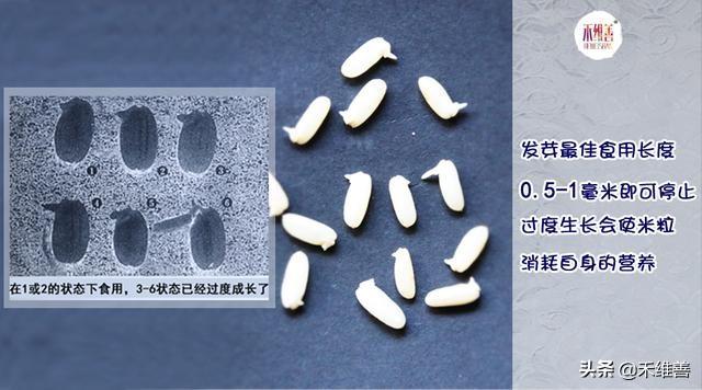 发芽糙米制作方法,发芽糙米为什么好吃(3)