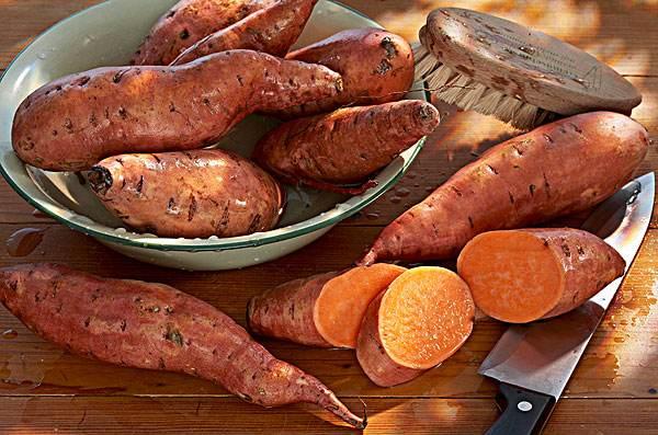 十大高产红薯品种,全国最佳红薯排名(3)
