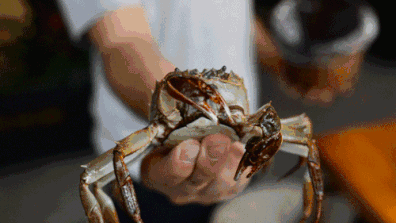 吃螃蟹被扎手指疼好几天,吃螃蟹时手被扎了一下会怎么样(1)