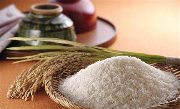 燕麦饭和米的比例是多少,燕麦米饭的正确煮法(2)