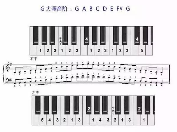 左手弹钢琴指法,一分钱钢琴左手指法(3)