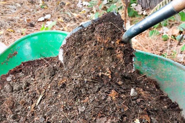 堆肥最好的土办法,鸡蛋壳做肥料正确做法(2)