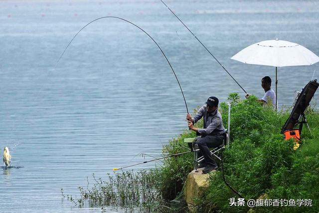 深秋钓鱼为什么特别难钓,深秋钓鱼最佳时间和方法(5)