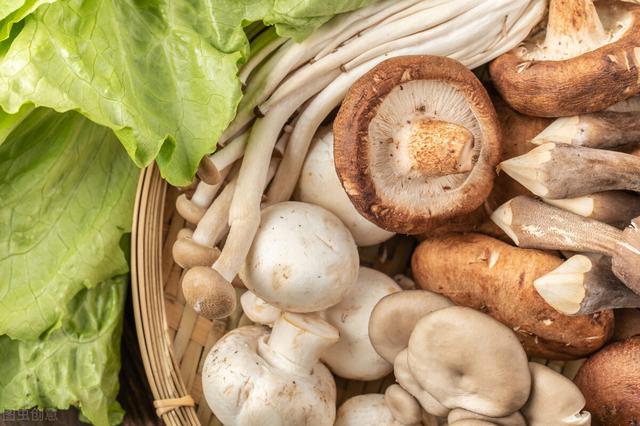 蘑菇营养功效与作用图片,哪些人不宜吃姬菇(2)