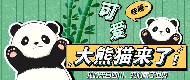 大熊猫喜欢吃什么食物,大熊猫吃东西的描写(1)