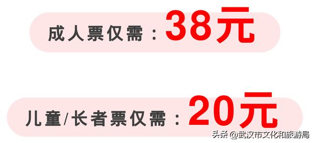 武汉灯光秀2022年8月时间表,2022年武汉灯光秀时间表(2)