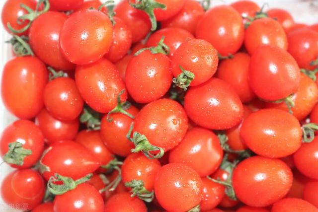 西红柿和千禧果的营养哪个好,千禧小番茄的功效与作用(1)