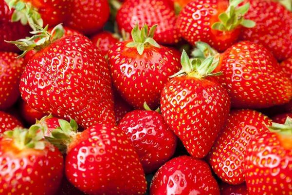 常吃草莓的好处,多吃草莓有什么好处和坏处(1)
