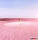希勒湖为什么是粉色的，因藻类变异结论已被推翻