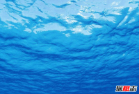 海底究竟有多恐怖?深海十大未解之谜