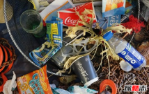 塑料污染来源哪里?塑料污染带来的十大危害(必知)