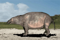始祖象的进化过程揭秘 经历五代从身高1米进化为巨兽