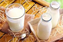 喝牛奶胃胀怎么回事 为什么喝牛奶会胃胀