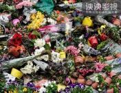 荷兰销毁百万束鲜花 荷兰花卉市场遭重大危机