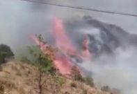云南大理发生森林火灾 起火原因正在调查中