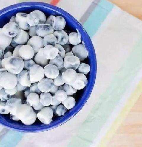 酸奶蓝莓冷冻的做法,酸奶蓝莓冻的做法大全(4)