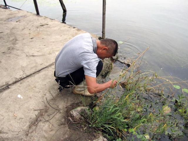 水塘石缝钓黄鳝技巧,石头缝钓黄鳝最简单的方法(1)