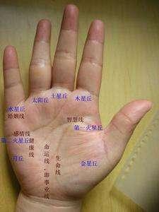 手腕长痣代表什么图解,右手腕背面长痣图解(3)