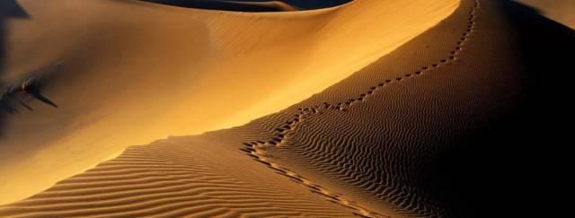 适合新手越野的沙漠,最适合越野的沙漠(2)