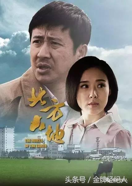 张国强演的王中天是什么电视剧,张国强的电视连续剧有哪些(4)