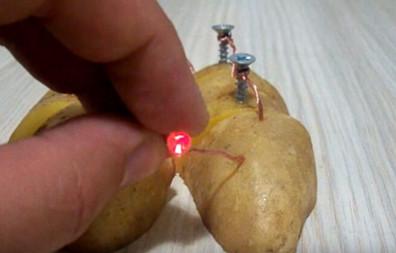 土豆发电灯的制作方法,土豆发电灯泡的制作方法(5)