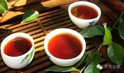 老年人长期喝普洱茶有什么好处,过夜茶的10大好处(5)