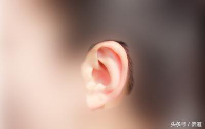 为什么耳朵小的人一般都寿命不长,耳朵很小的成功人士(3)