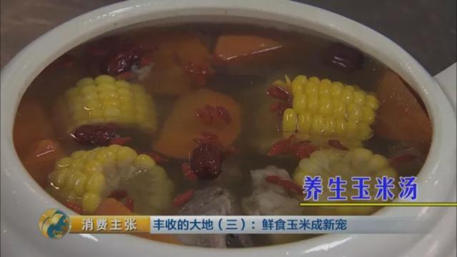广东一年能种几次玉米,广东种玉米什么时候种最好(24)