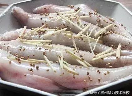 胡椒蒸鼻涕鱼的正宗做法,清蒸鼻涕鱼的正确做法(5)