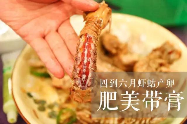 虾蛄怎么煮不会粘壳,虾蛄吃什么食物(4)