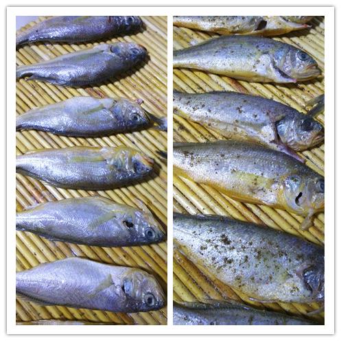 干煎黄花鱼的正确做法,韩式煎黄花鱼(4)