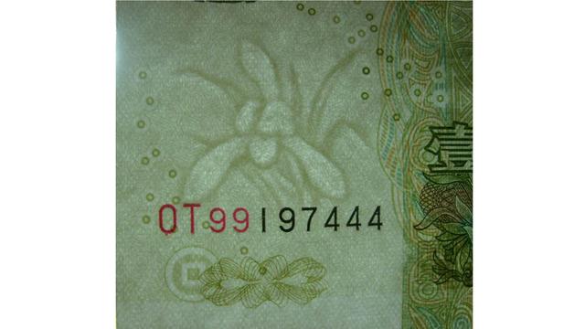 大叶兰的叶子图片,1元大叶兰单张价格(3)