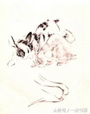 写意兔子绘画作品,名家画兔子作品(3)