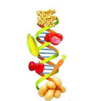 现在的土豆都是转基因的吗,转基因的番茄种类图片(3)