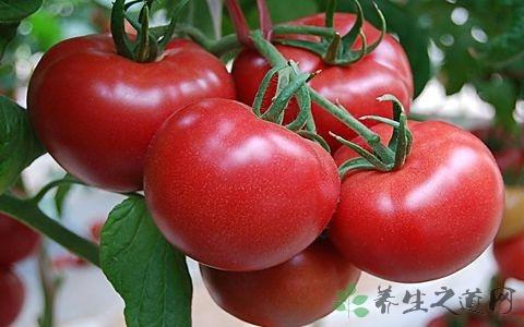 西红柿祛斑要多久见效,每天吃西红柿坚持一月可以祛斑吗(1)