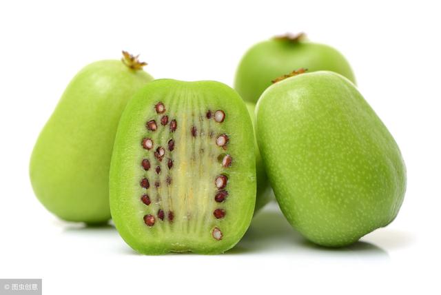软枣猕猴桃图片及品种介绍,软枣猕猴桃品种依次排名(6)
