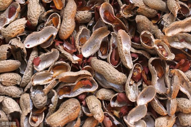 花生壳做肥料注意什么,熟花生壳可以直接做肥料吗(1)