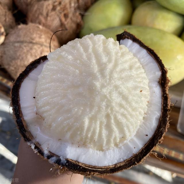 长椰宝的椰子常见吗,椰子最简单鉴别(6)