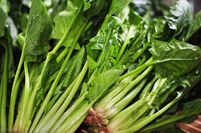 十大抗寒蔬菜品种排行榜,高档蔬菜品种大全和名称(2)