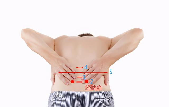 膀胱俞的准确位置图解,后背膀胱经的位置图(1)