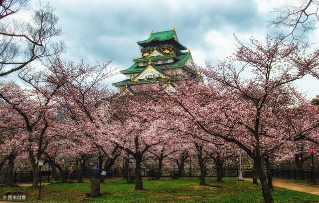 樱花的花语和传说,日本的樱花品种有什么(4)