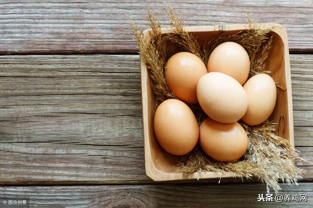 土鸡蛋和土鸡营销策划方案,土鸡土鸡蛋和普通鸡蛋的区别(1)